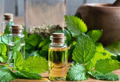 Mint Calming Effect